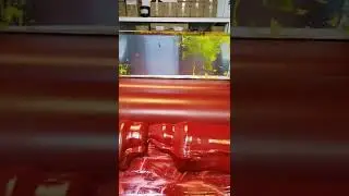 In National Factory, I am grinding UV ink
