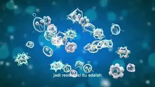 PENYULUHAN MANDIRI&bull;||&bull; KIE (BIJAK DALAM MENGGUNAKAN ANTIBIOTIK)