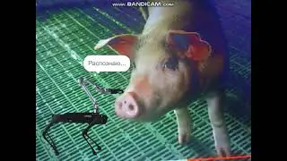 Zavidivo Ferma - Unitree Robotics recognizes pets