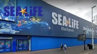 SEA LIFE blackpool full tour