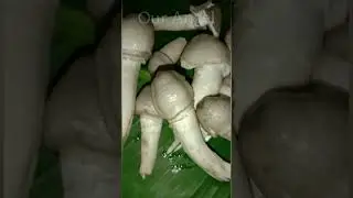 നല്ല നാടൻ കൂൺകറി / കൊതിയൂറും കൂൺകറി.. /#Mushroom curry# / #mushroom reciepe#