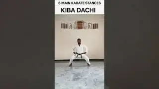 6 Main Karate Stances #karatestances #karate #karatesir786