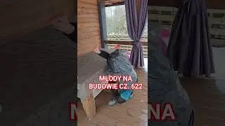 MŁODY NA BUDOWIE CZ. 622 #bricklayer #automobile #mechanik #budowa #śmieszne #comedy #uczeń #humor