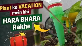 &ldquo;Automatic Watering Spikes &ndash; keeping your plants happy, even when you&rsquo;re away.&rdquo;#gardening #garden 