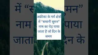क्या आपको पता है #shorts #facts #interestingfacts #amazingfacts #factsinhindi #factshorts #tree