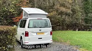 Campervan trip with Haggis the Dachshund!