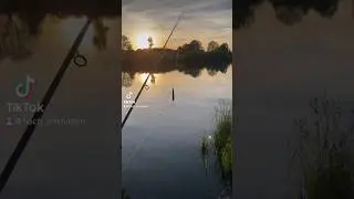 Aal mit Pose und Wurm😁🌅🪱🎣#Aal #fishing #angeln #sunset #fish #fische #viral #tiktok #shorts