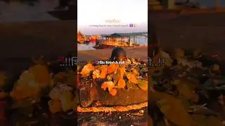 🥀&hearts;️Mahashivratri status video 🌸 shivratri status 🌿Shiv Parvati status❤️&nbsp;#mahadev​ #shorts​ #trending