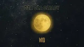 Dża Dża Dziady - 04. Wid