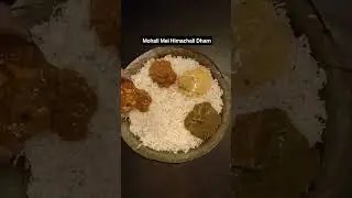 #delhistreetfood #foodreviewvlog #chaat #foodvlogs #foodshorts #indianfoodeating #kachori #shorts