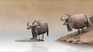 Global Media Ltd Marketing Funny Video | Beyond The Ordinary