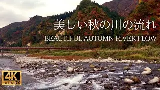 4K / Красивое осеннее течение реки / Красота Японии / Звуки природы / Бинауральный реализм (ASMR)