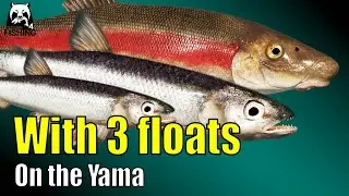 Russian Fishing 4 &ndash; Yama River &ndash; Make silver with 3 floats! Telescopic rod, Bolo or match rods #rf4