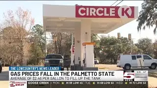 VIDEO: South Carolina holiday travel coming cheaper with double-digit gas price drop