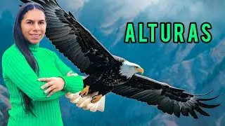 🚨DISEÑADOS PARA LAS ALTURAS🕊️ Pastora Beatriz Berroa desde Estados Unidos
