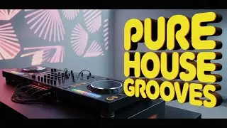 Tech House Set | Late Night Club Grooves | DJ Nealsen