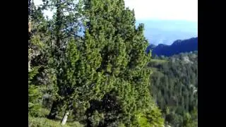 randonn&eacute;e GR10