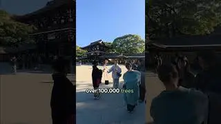 meiji shrine part 2 #travel #viral #Japan #shortvideo #lifeisbutadream