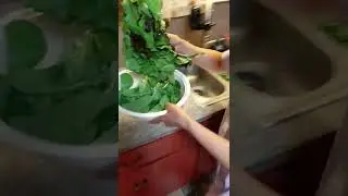 Cooking winter greens!