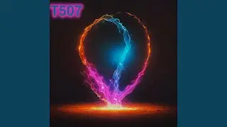 T507