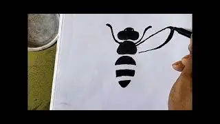 How to draw fly incest easy step by step| Makhi ka chitra kaise babaye