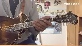 Tammy Murray&rsquo;s Tune