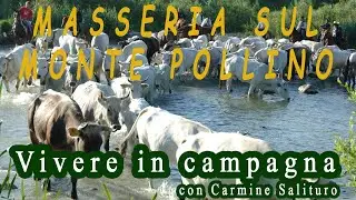 Monte Pollino: vita a contatto con la sola natura in una masseria - Con Carmine Salituro