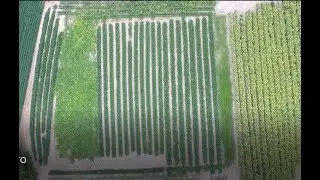 Mr. Food Plot - Kevin Thayer Food Plot Methods Interview