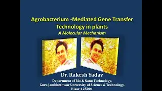 Agrobacterium -Mediated Gene Transfer by Dr. Rakesh Yadav