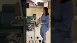 Initial hemosphere set-up
