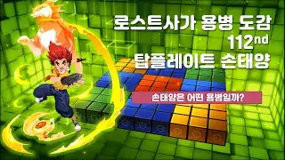 [KLS]로스트사가 용병도감 - 탑플레이트 손태양 Lostsaga Hero Book - Top plate