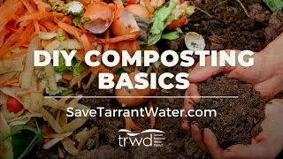 DIY Composting Basics