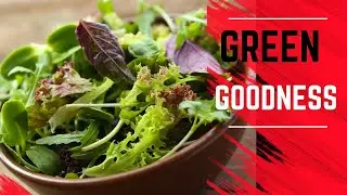 Green Goodness: Ultimate Salad Greens Guide!