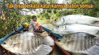 Ternyata benar pertigaan sungai besar sarangnya ikan babon,sekali lempar langsung jackpot!!!