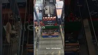 STS Cranes Loading Unloading Container #shorts #ship #crane #multifunctional #gantrycrane