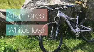 Afan Forest MTB / Whites level