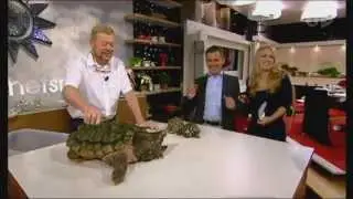 Jonas Wahlstr&ouml;m och en Huggsk&ouml;ldpadda