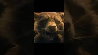 Rocket Raccoon Sad Origin Story Edit || Guardians of the Galaxy Volume 3