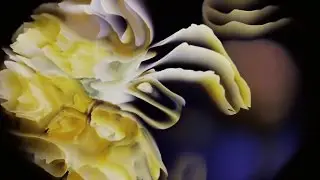 Honeymilk: Free VJ Loop HD Visual for Resolume, Serato Video, VDMX, MixEmergency, CoGe, etc.