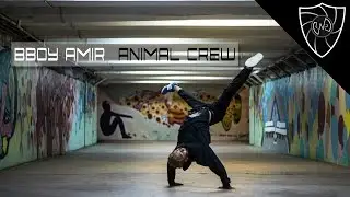 Dance clip l Bboy Amir l Animal crew