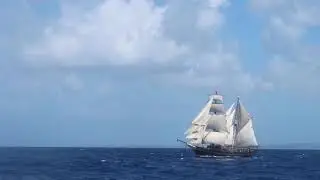 Wylde Swan racing Tres Hombres - 2021