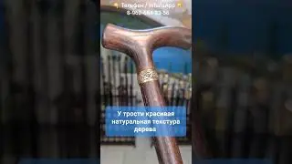 Трость 