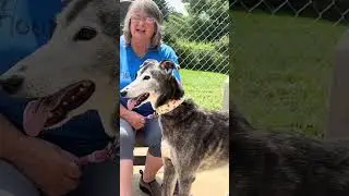 Luke’s Story