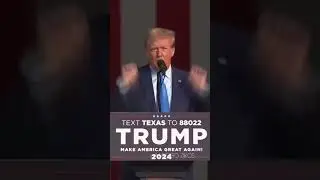 Donald Trump Bling Bang Bang Born #memes #trending #animeshorts #anime #animelover #waifu
