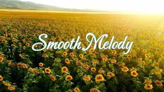 Gentle Instrumental Background &ndash; Calm Music for Work, Relax & Unwind