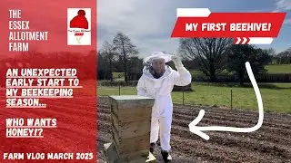 First Beehive on the Farm! + Potato Planting Begins 🐝