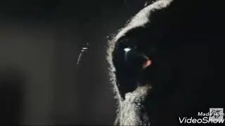 Secretariat (Fight Song)