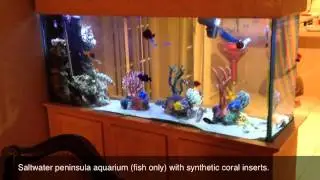 Colorful, Clear, Saltwater aquarium fish only with synthetic coral inserts