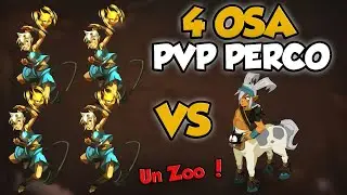 META PVP PERCO TEAM 4 OSAMODAS ! - DOFUS TOUCH 2025