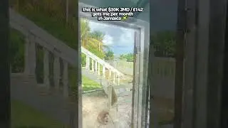 St. Thomas, Jamaica apartment tour 🇯🇲 #jamaica #travel
